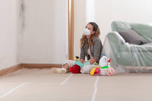 Reliable Mold Inspection And Testing contractor in New Vernon, NJ by Car Mold Remediation